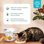 Premium imported Freshpet Chicken Cat Food offers tender bites made from natural US farm-raised chicken, available at Curat Cart.