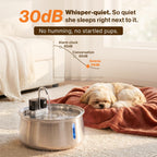 The Selene Wireless Doggy Fountain operates at 30dB, ensuring a peaceful environment. 100% Authentic, available at Curat Cart.