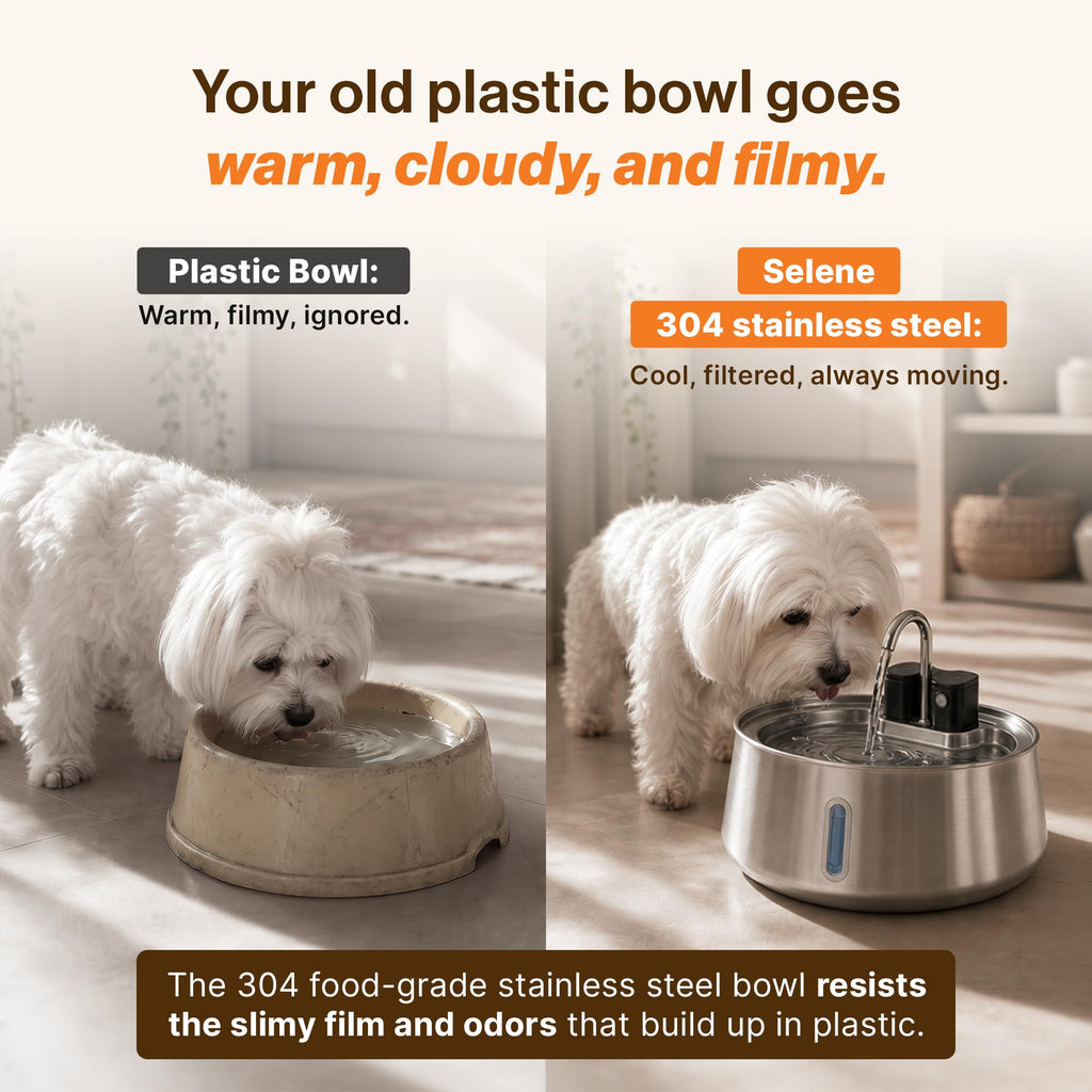 Upgrade to the Selene Wireless Doggy Fountain, offering a stainless steel design that resists odors and slime. Perfect for daily use from Curat Cart.