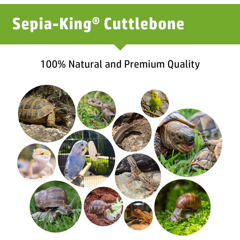 Premium imported Sepia King Cuttlebone Calcium Supplement, perfect for reptiles and pets, ensuring natural health. Available at Curat Cart.