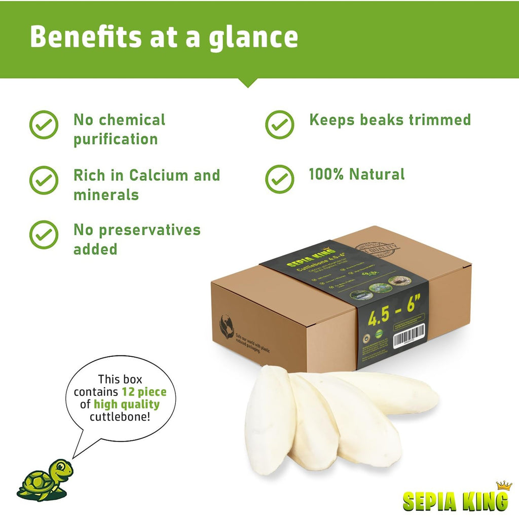 Sepia King Cuttlebone Calcium Supplement, specially curated by Curat Cart, offers 12 high-quality, 100% natural pieces for optimal beak care.