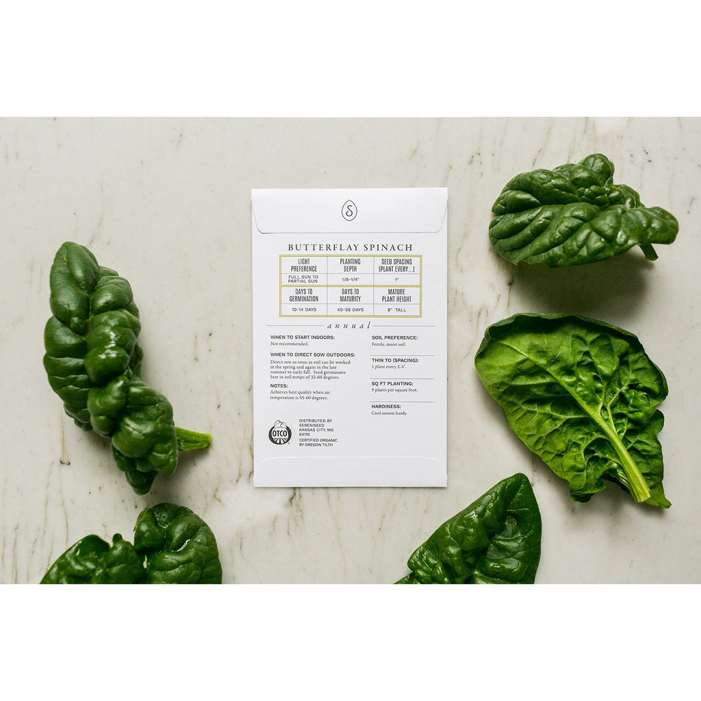 Sereniseed Organic Lettuce Seeds, 100% Authentic, available in India at Curat Cart for premium home gardening.
