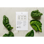 Sereniseed Organic Lettuce Seeds, 100% Authentic, available in India at Curat Cart for premium home gardening.