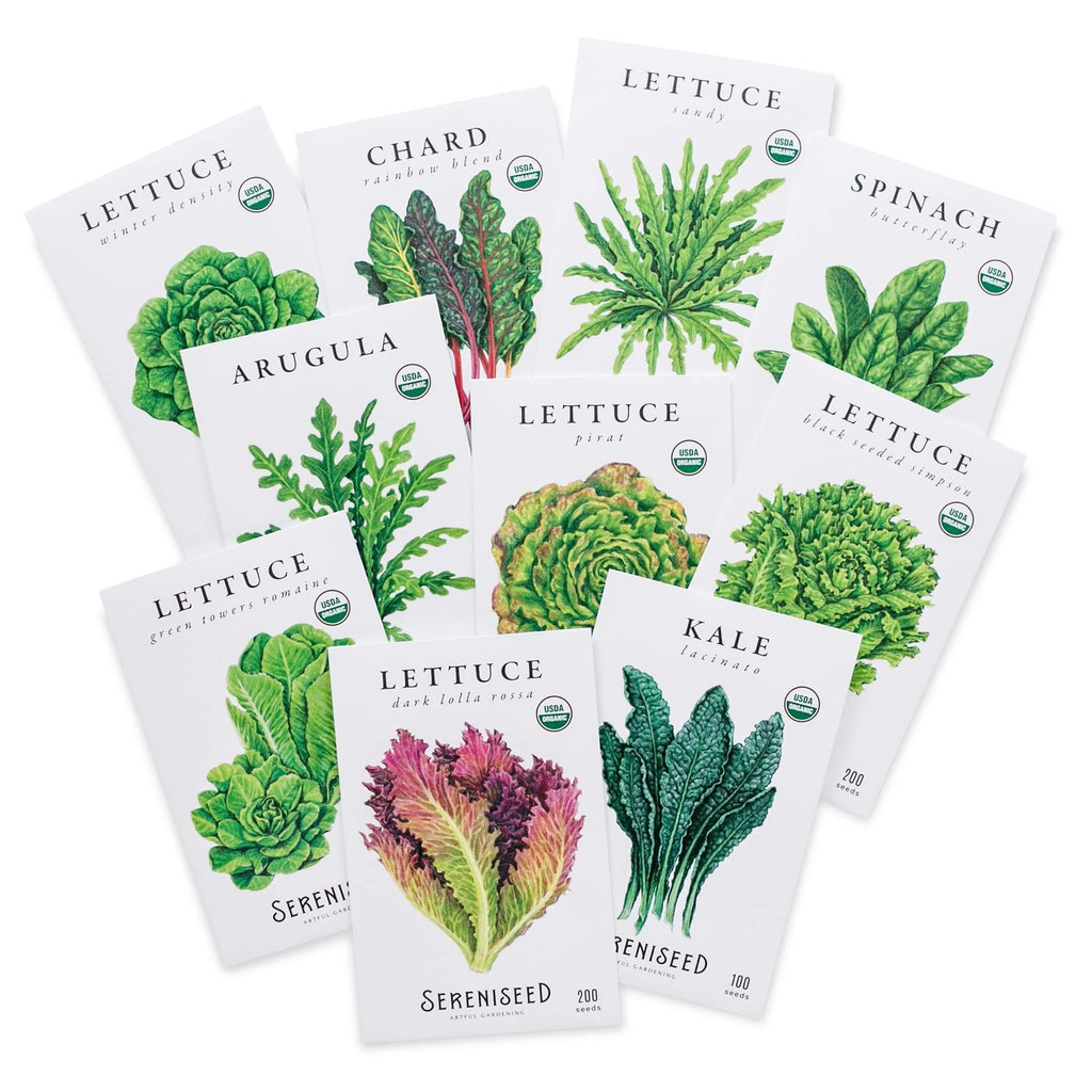 Discover Sereniseed Organic Lettuce Seeds among premium imported varieties at Curat Cart. Elevate your gardening today.