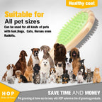Short Hair Dog Brush for all pet sizes, ensuring a healthy coat. 100% Authentic and available at Curat Cart.