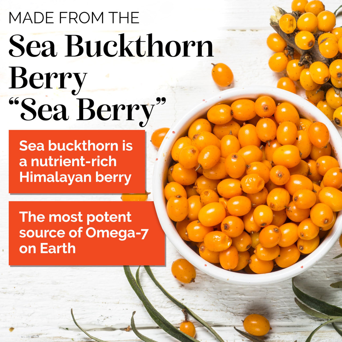 Discover nutrient-rich sea buckthorn berries, the best Omega-7 source. Order Sibu Sea Buckthorn Omega-7 Softgels online in India.