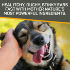 Heal itchy, stinky ears fast with Silver Honey Rapid Ear Care. Perfect for daily use, available at Curat Cart.
