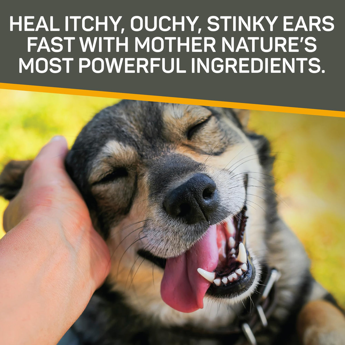 Heal itchy, stinky ears fast with Silver Honey Rapid Ear Care. Perfect for daily use, available at Curat Cart.