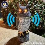 Brighten your garden with this Solar Powered Garden Owl Decoration from Curat Cart, featuring motion detection and glowing eyes.