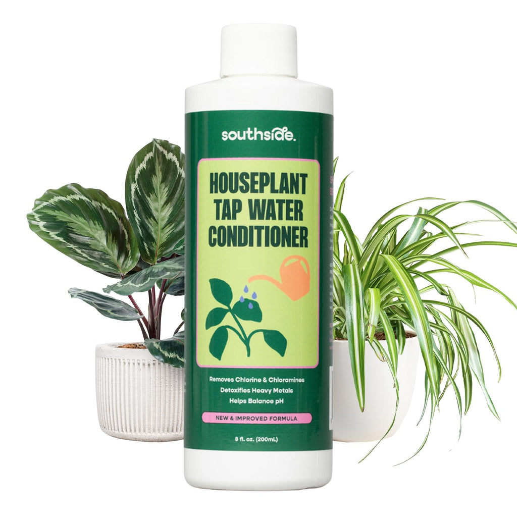 Southside Plants Tap Water Conditioner, a premium import that removes chlorine, perfect for healthy houseplants. Available at Curat Cart.