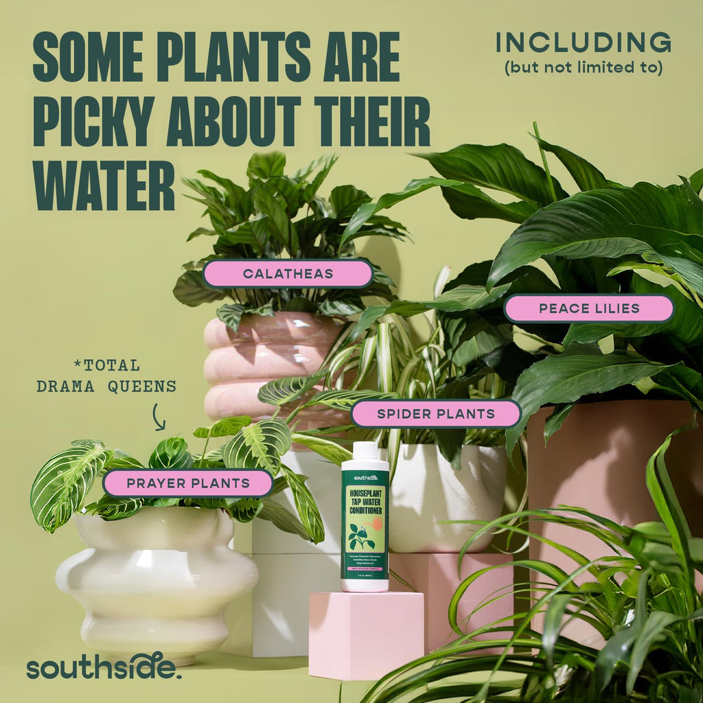 Southside Plants Tap Water Conditioner, specially curated by Curat Cart for picky plants like Calatheas and Peace Lilies.