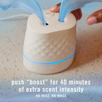 Enhance your space with the Oil Diffuser Starter Kit, perfect for daily use. Available at Curat Cart for a refreshing atmosphere.