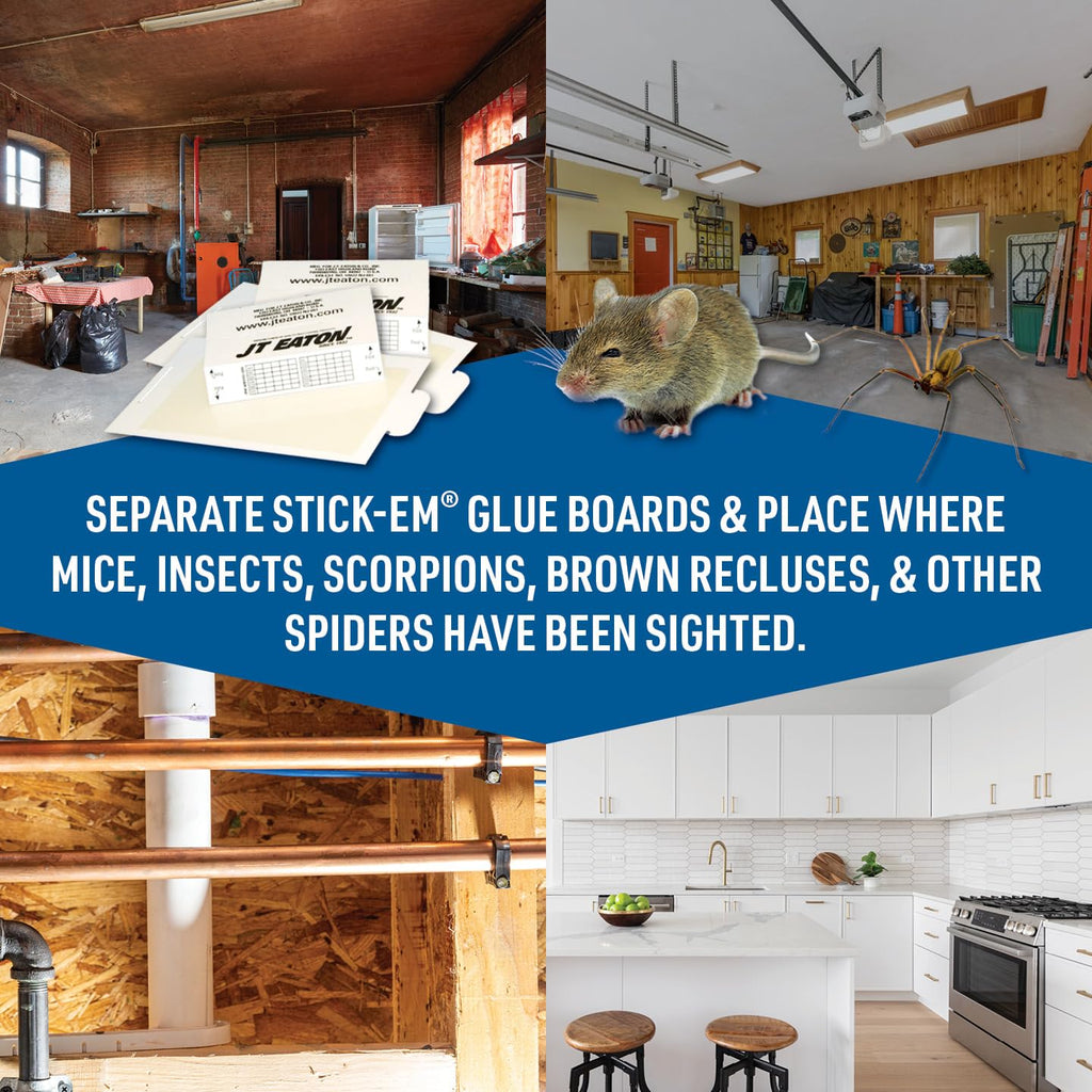 Discover the Mouse & Insect Glue Trap, specially curated by Curat Cart for effective pest control in diverse environments.