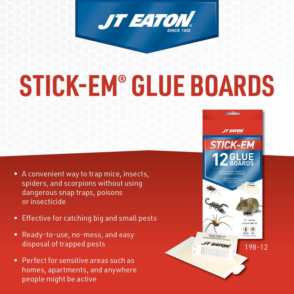 Effective Mouse & Insect Glue Trap for catching pests. 100% Authentic, available at Curat Cart in India. Easy to use.