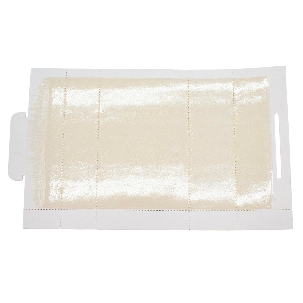 Premium Mouse & Insect Glue Trap in official packaging, featuring high-quality adhesive for effective pest control. Available at Curat Cart.