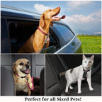 SunGrow Dog Seat Belt for Car shown in use by different pets, highlighting high-quality material and secure fit. Available at Curat Cart.