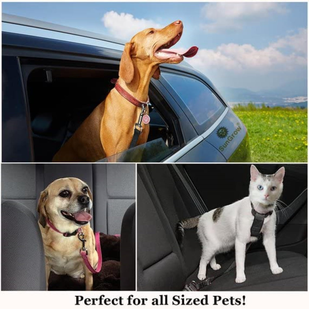 SunGrow Dog Seat Belt for Car shown in use by different pets, highlighting high-quality material and secure fit. Available at Curat Cart.