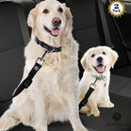Secure your furry friends with the SunGrow Dog Seat Belt for Car, 100% Authentic and available at Curat Cart in India.