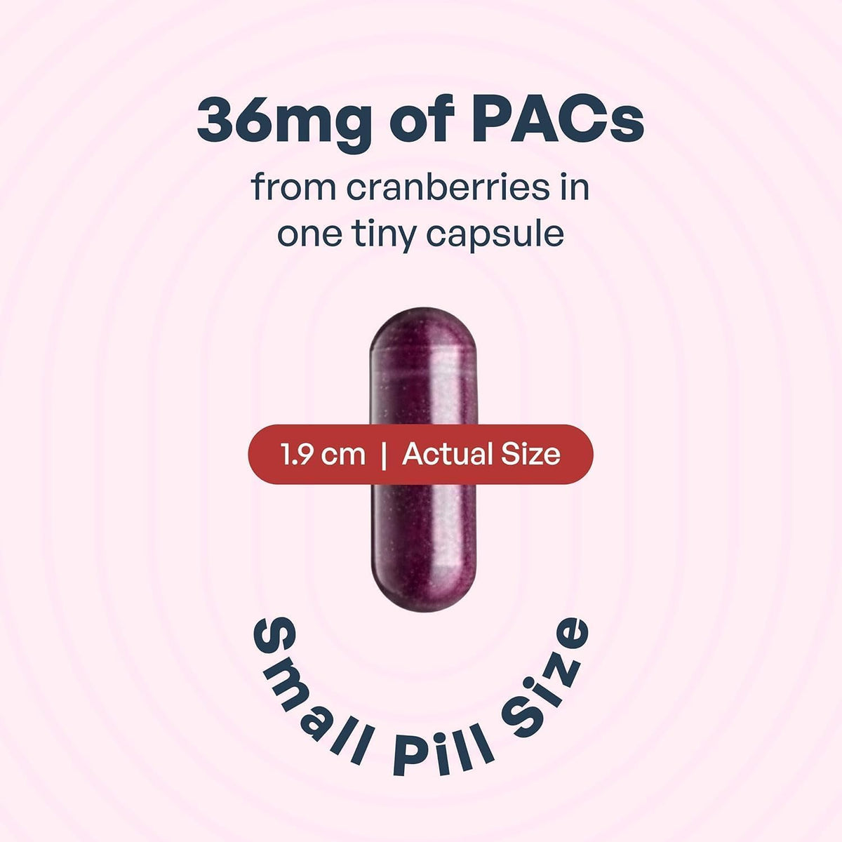 Premium imported Szio+ Utiva Cranberry PACs, offering 36mg of PACs in a tiny capsule for daily UTI support.
