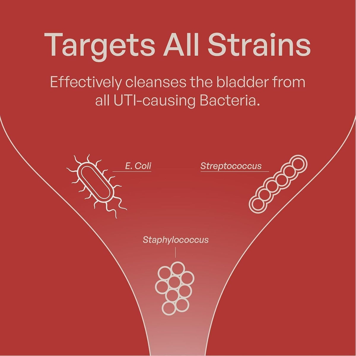 Available in India, Szio+ Utiva Cranberry PACs effectively cleanse the bladder from all UTI-causing bacteria. Order online now.