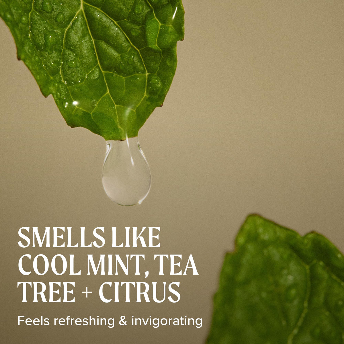 Premium imported Tea Tree Firm Hold Gel with a refreshing scent of cool mint, tea tree, and citrus. Ideal for strong styling.