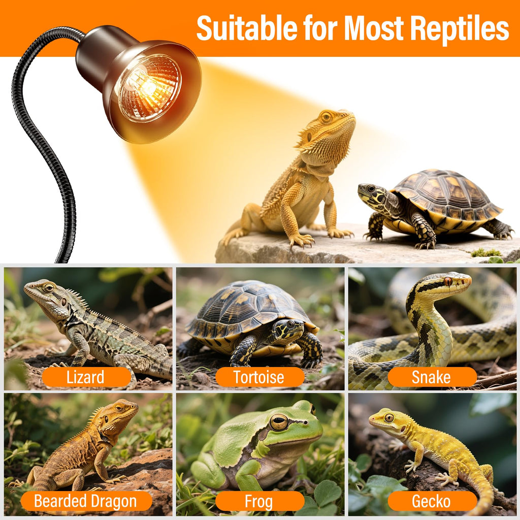 Enhance your reptiles' habitat with the TFNN Reptile Heat Lamp, 100% Authentic and available at Curat Cart in India.