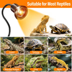 Enhance your reptiles' habitat with the TFNN Reptile Heat Lamp, 100% Authentic and available at Curat Cart in India.