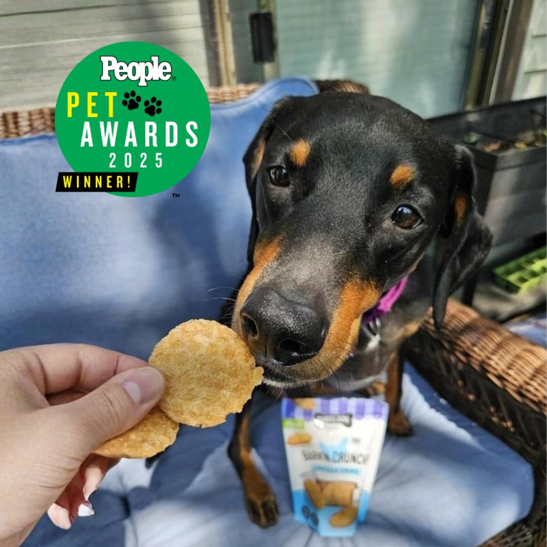 Delightful Three Dog Bakery Bark'n Crunch Chips, specially curated by Curat Cart, enjoyed by a happy dog. Perfect for pet lovers.