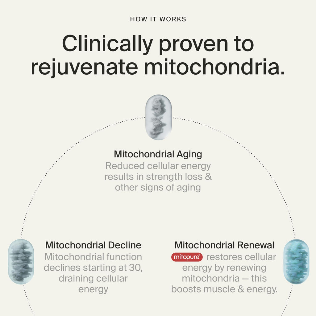 Mitopure Urolithin A Supplement capsules in official packaging, designed to rejuvenate mitochondria and enhance energy. Available at Curat Cart.