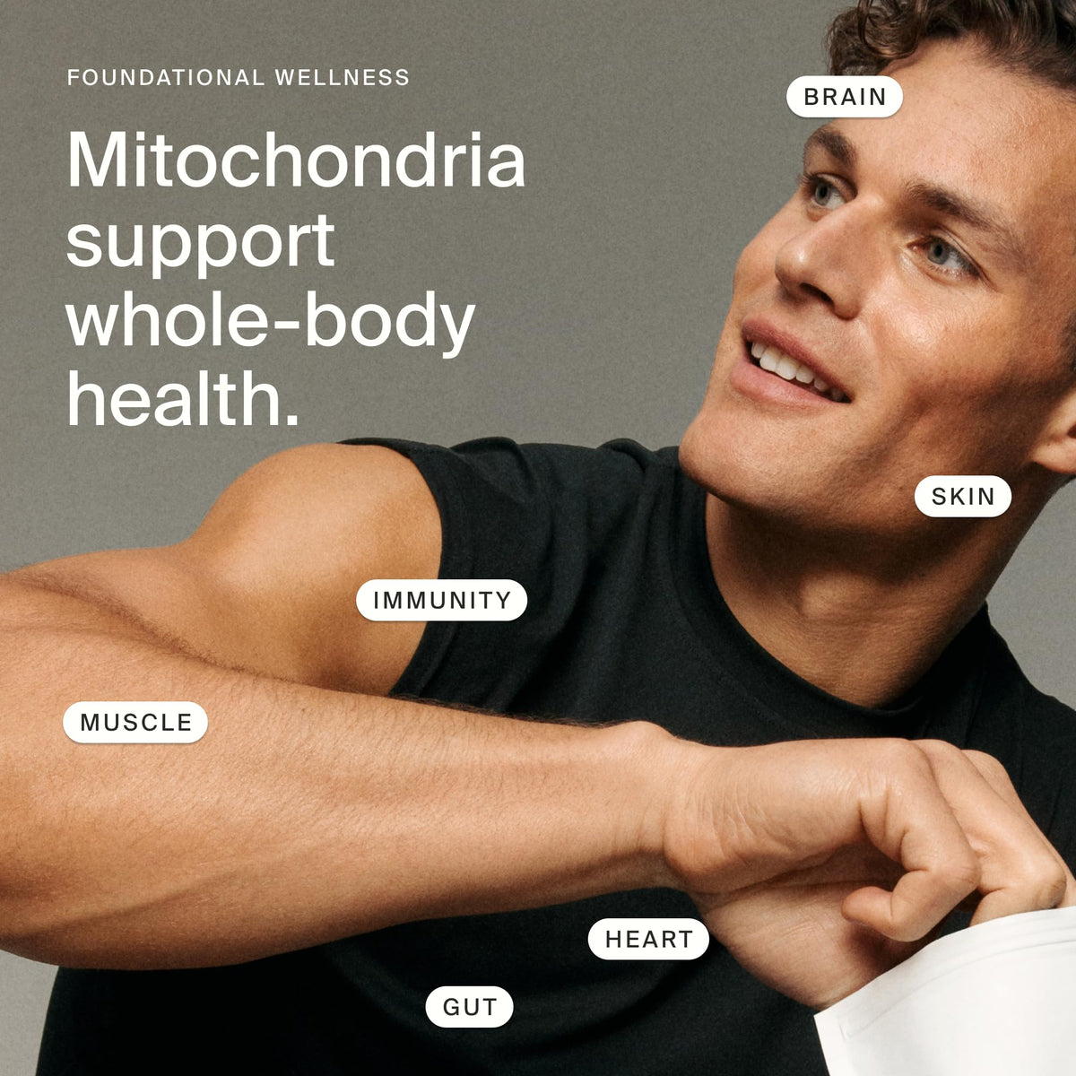 Enhance your health with Mitopure Urolithin A Supplement, promoting whole-body wellness. Perfect for daily use. Available at Curat Cart.