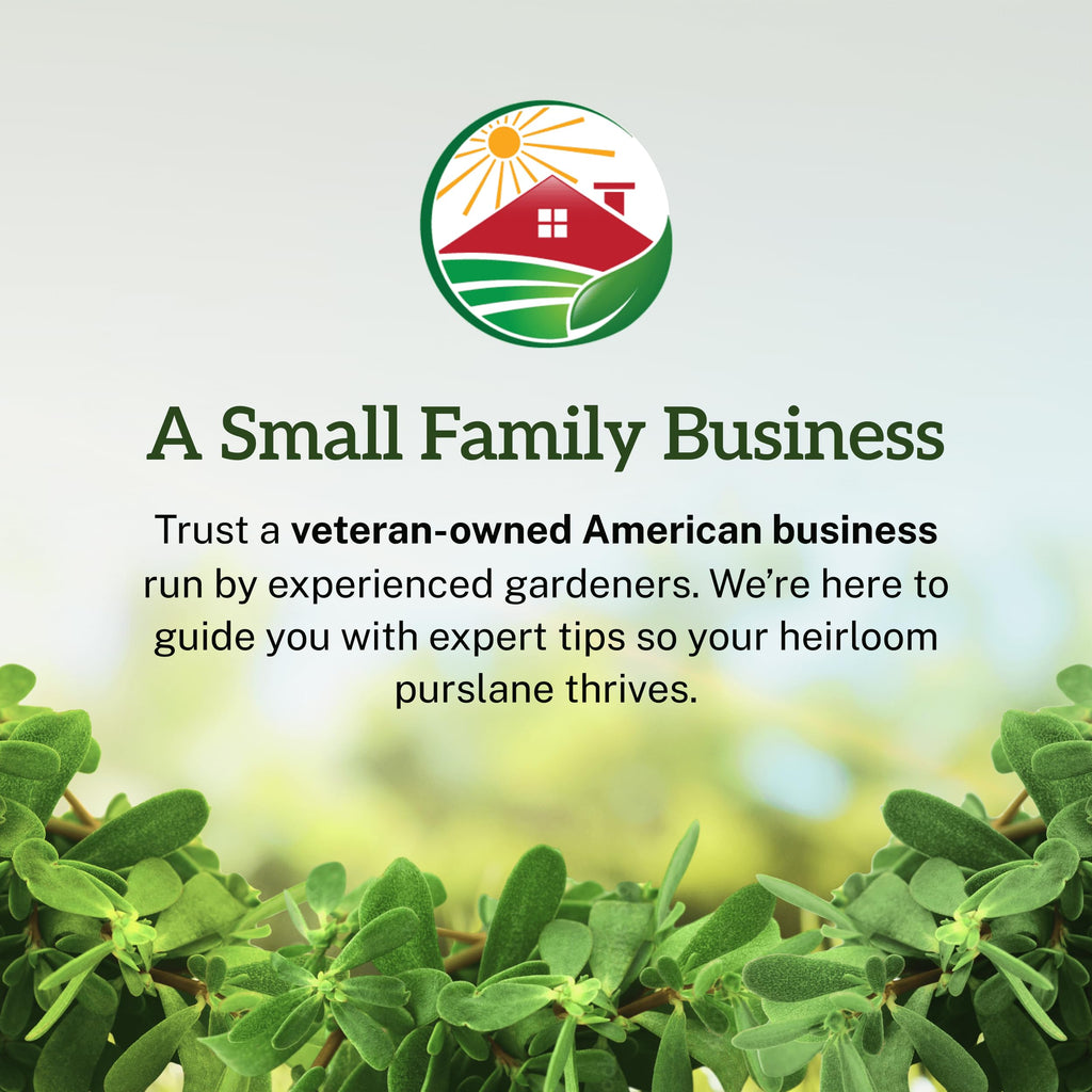 Discover TKE Farms Purslane Seeds, exclusively curated by Curat Cart for Indian gardeners seeking quality heirloom seeds.