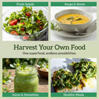 Explore TKE Farms Purslane Seeds for fresh salads, healthy meals, and smoothies. 100% Authentic, available at Curat Cart.