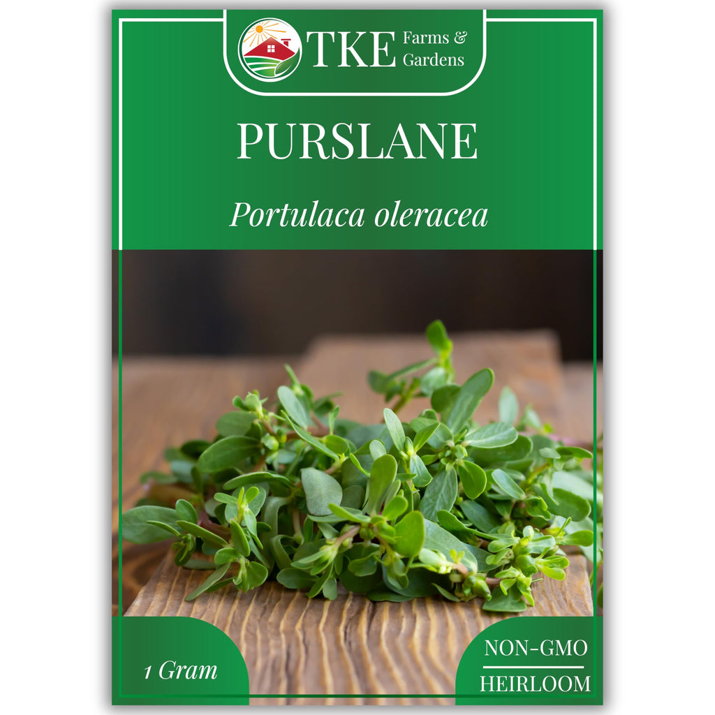 Discover TKE Farms Purslane Seeds, a premium imported variety perfect for your garden. Available at Curat Cart.
