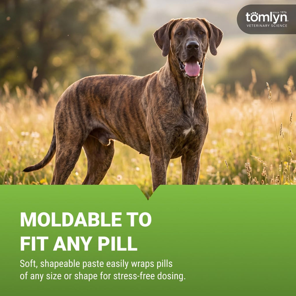 Tomlyn Pill-Masker Bacon-Flavored Paste, specially curated by Curat Cart, easily wraps any pill for stress-free dosing.