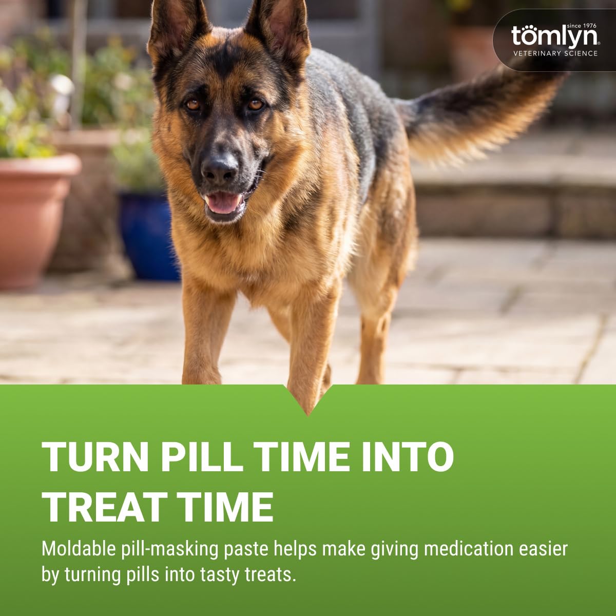 Tomlyn Pill-Masker Bacon-Flavored Paste offers an easy way to give medication with treats. 100% Authentic, available at Curat Cart.