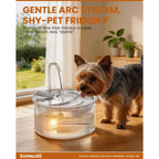Tomxcute Glass Cat Water Fountain features gentle arc stream design, ensuring minimal splash and a serene drinking experience. Available at Curat Cart.