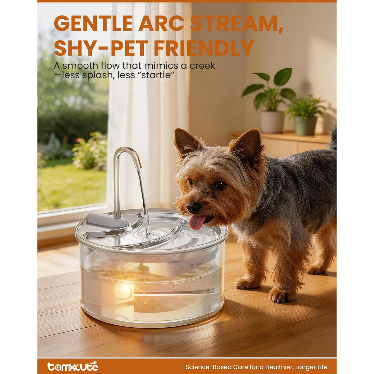 Tomxcute Glass Cat Water Fountain features gentle arc stream design, ensuring minimal splash and a serene drinking experience. Available at Curat Cart.