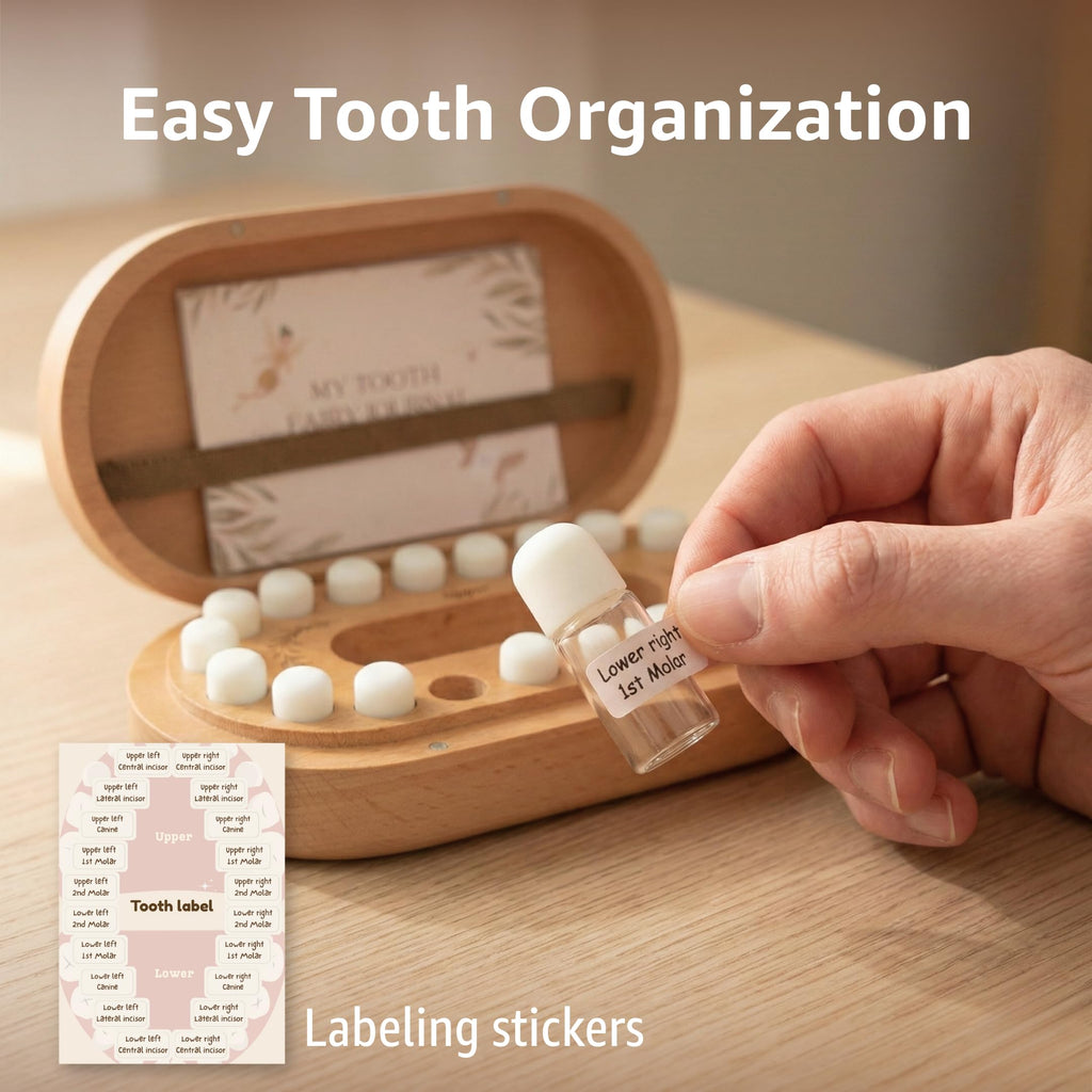 Premium imported Tooth Fairy Tooth Holder from Curat Cart, featuring easy tooth organization and labeling stickers for children.