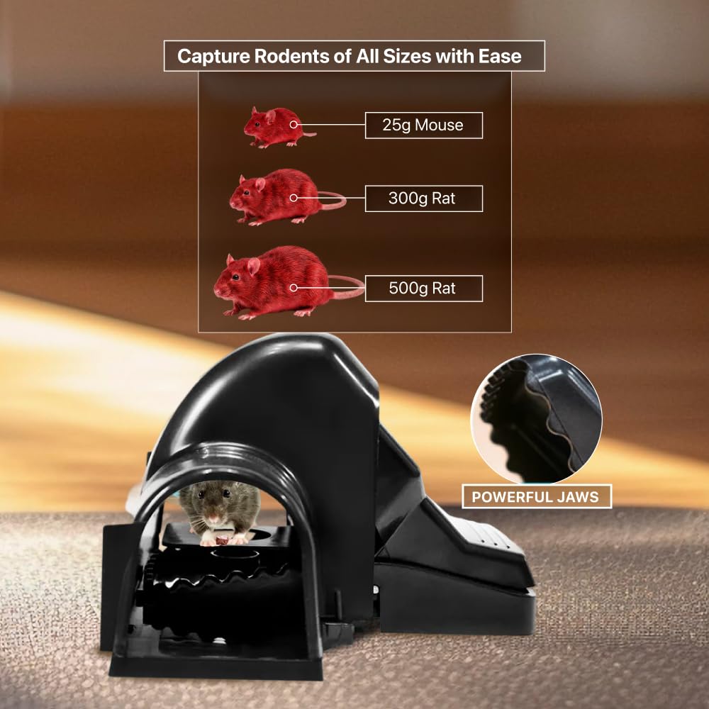 Tougher Than Tom Rat Trap in high-quality packaging, designed to capture rodents of all sizes efficiently. Available at Curat Cart.