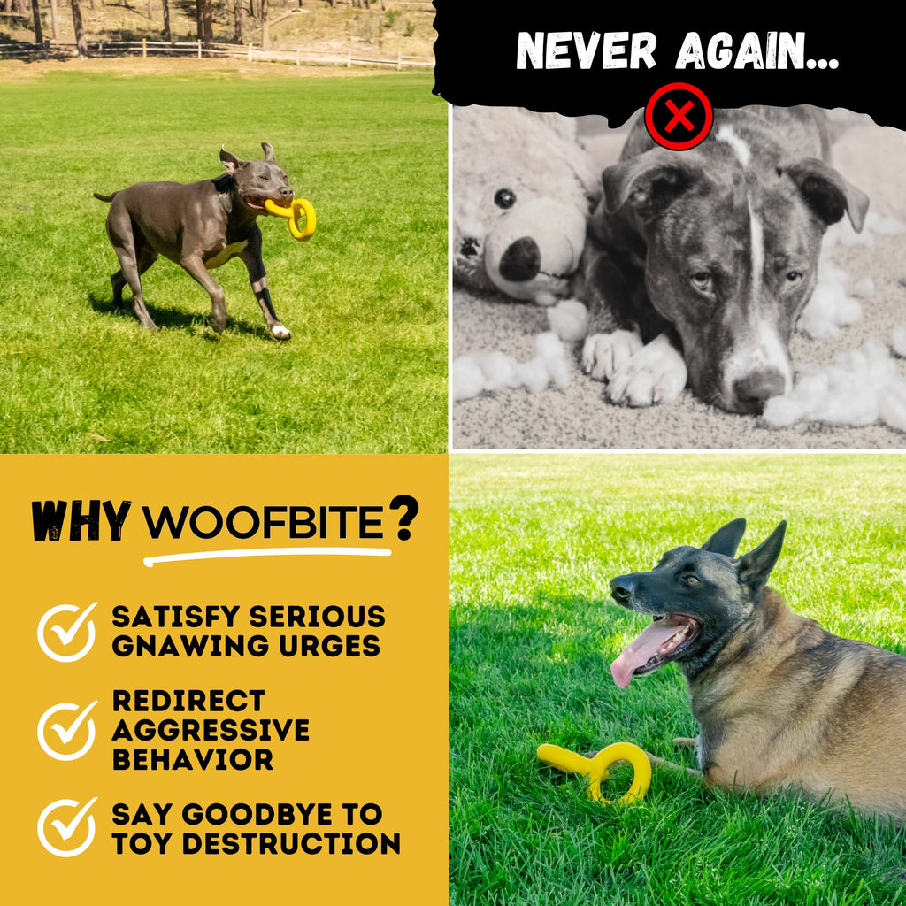 Indestructible Dog Toy for Chewers ensures durability and fun. 100% Authentic, available in India at Curat Cart.