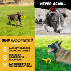 Indestructible Dog Toy for Chewers ensures durability and fun. 100% Authentic, available in India at Curat Cart.