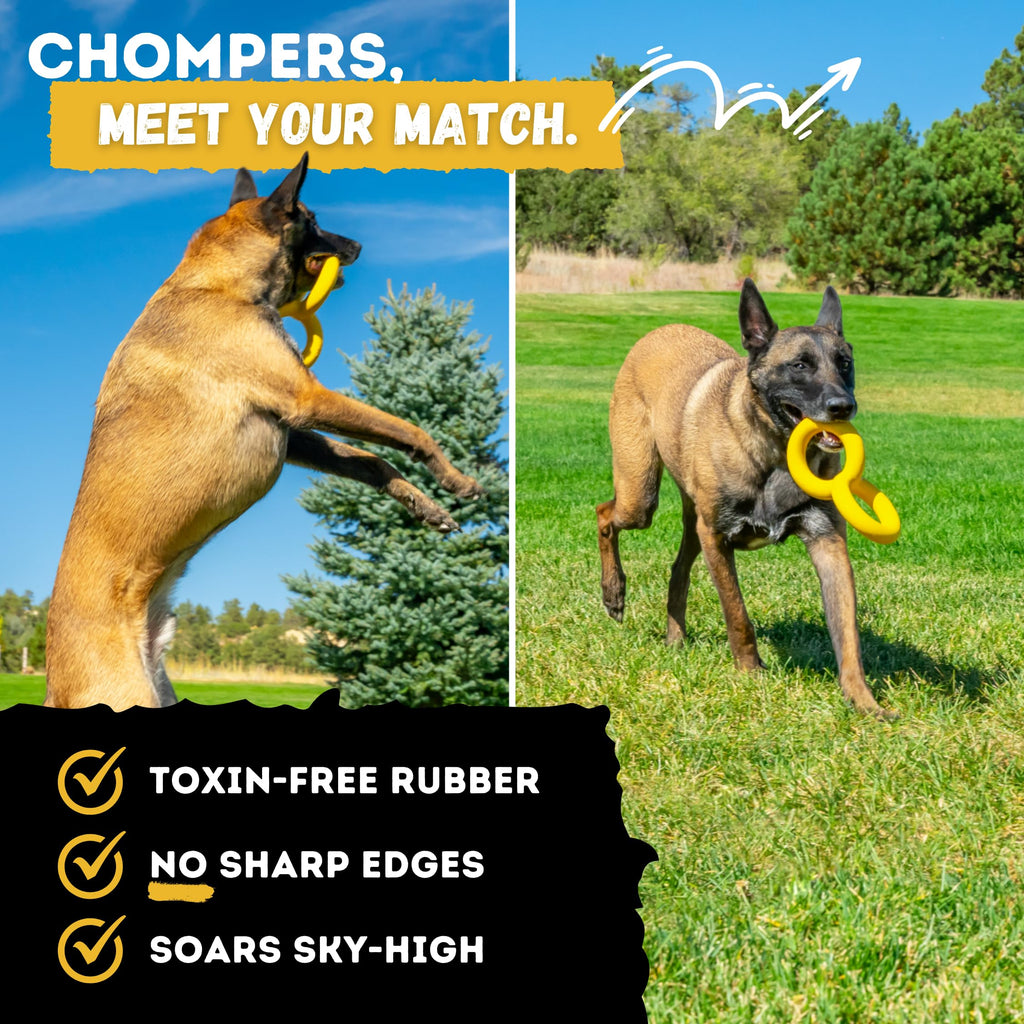 Durable, toxin-free rubber dog toy for chewers, officially packaged by Curat Cart. Perfect for active play and safe fun.