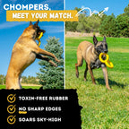 Durable, toxin-free rubber dog toy for chewers, officially packaged by Curat Cart. Perfect for active play and safe fun.