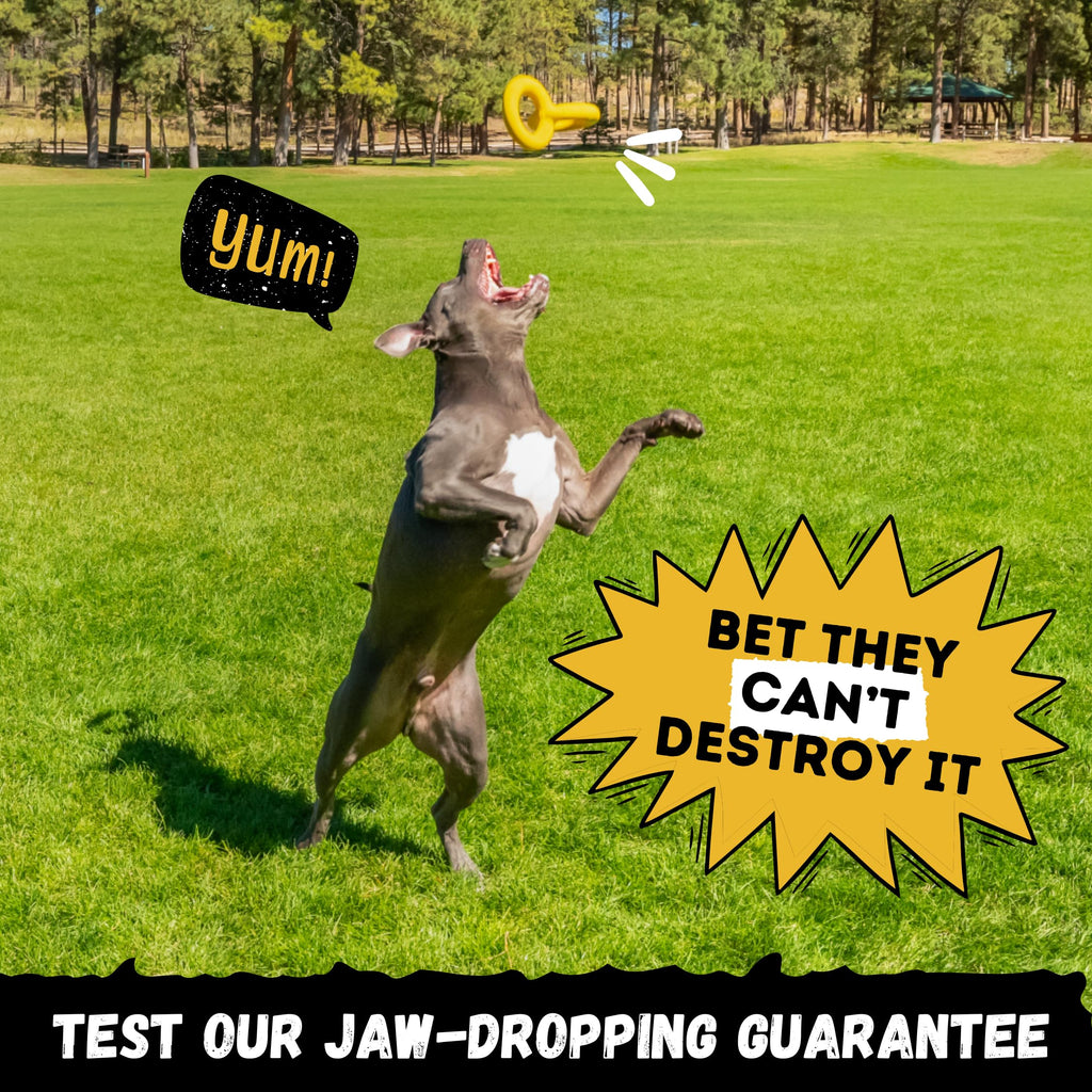 Indestructible Dog Toy for Chewers, specially curated by Curat Cart, promises durability for even the toughest chewers. Shop now.