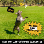 Indestructible Dog Toy for Chewers, specially curated by Curat Cart, promises durability for even the toughest chewers. Shop now.
