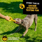 Premium imported indestructible dog toy for chewers, perfect for medium to large breeds. Available at Curat Cart.