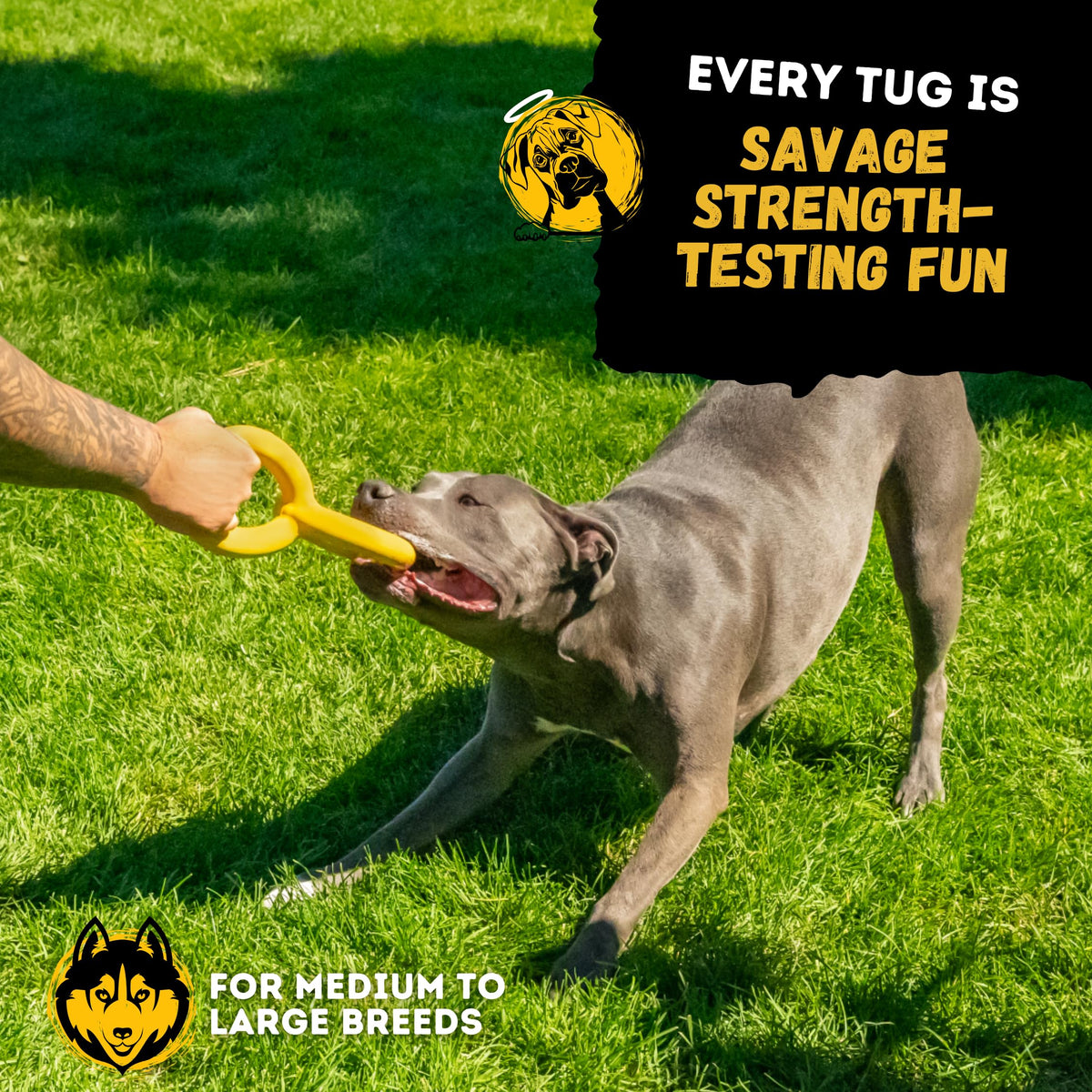 Premium imported indestructible dog toy for chewers, perfect for medium to large breeds. Available at Curat Cart.