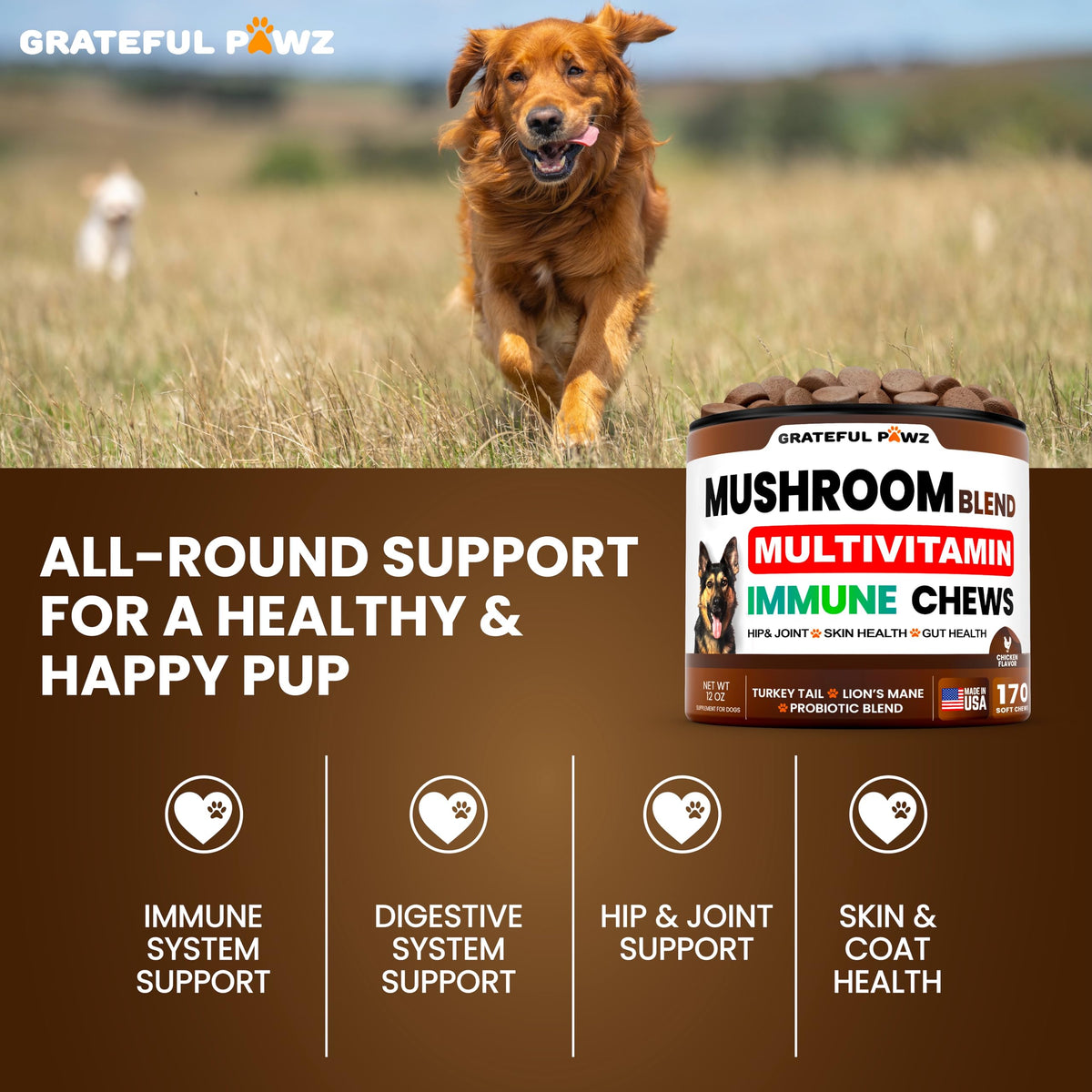 Turkey Tail Mushroom Supplement for Dogs offers immune, digestive, and joint support. Perfect for your pup's health routine at Curat Cart.