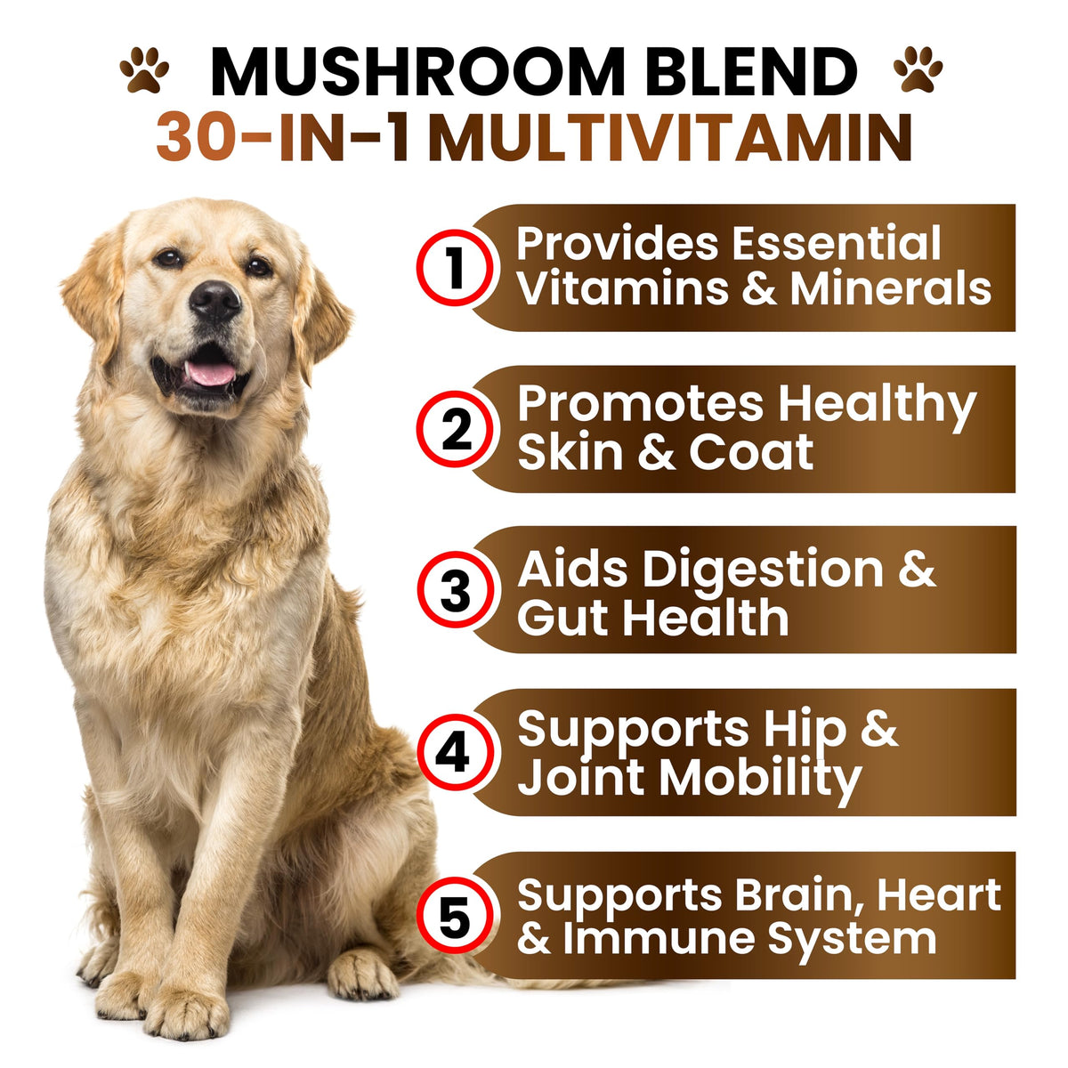 Turkey Tail Mushroom Supplement for Dogs in official packaging, enhances health with essential vitamins and minerals. Available at Curat Cart.