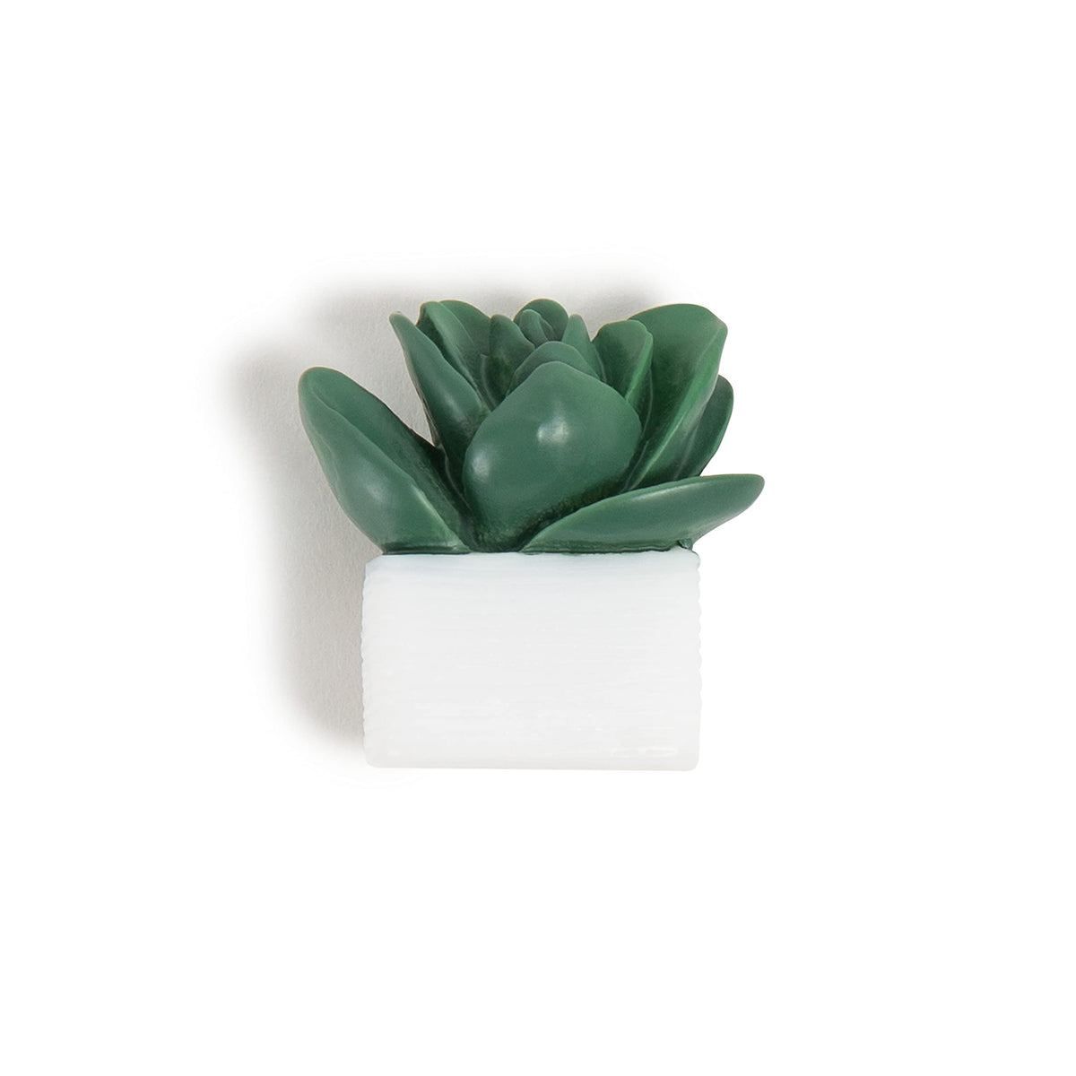 Elevate your workspace with U Brands Succulent Push Pins, specially curated by Curat Cart for a unique touch.